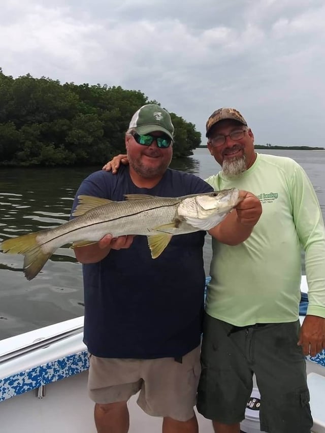 Snook Fishing in St. Petersburg, Florida