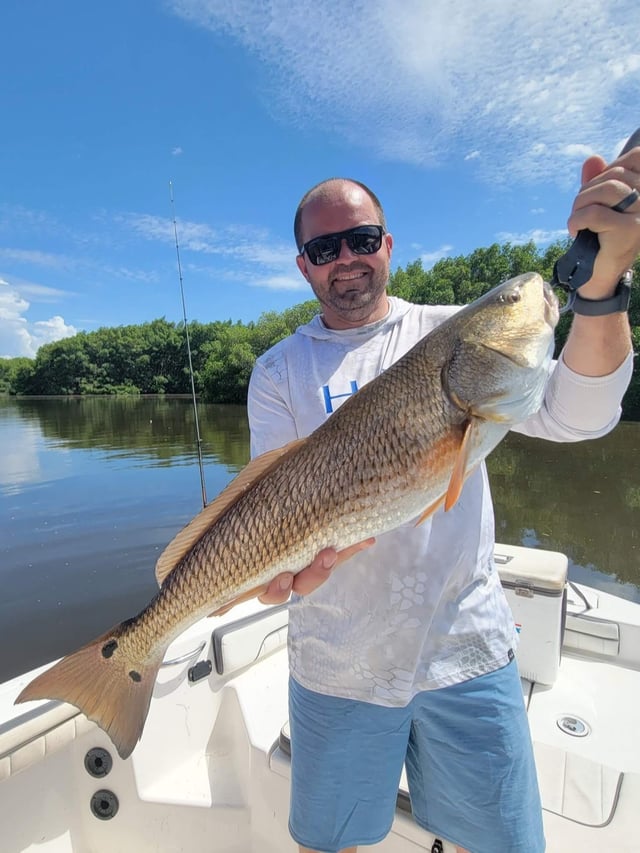 Redfish Fishing in St. Petersburg, Florida