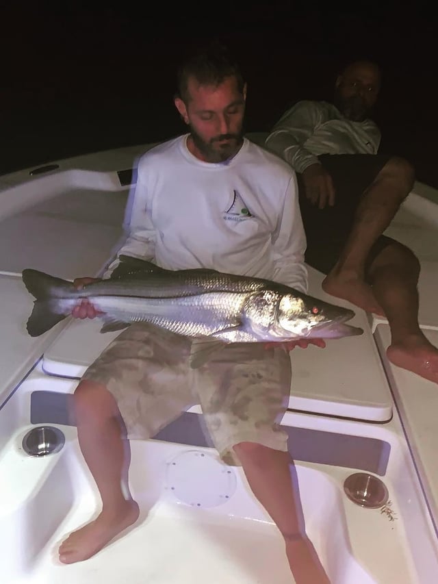 Snook Fishing in Key Biscayne, Florida