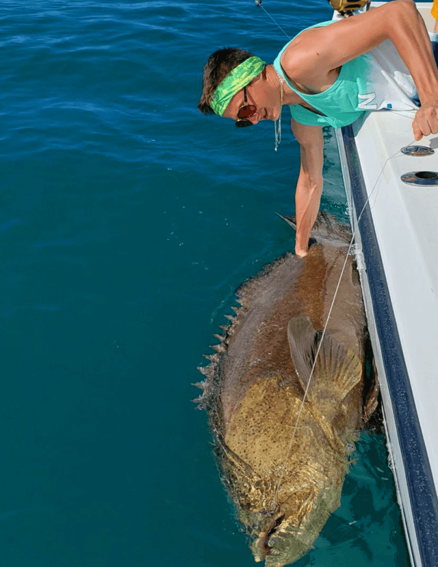 Wreck & Reef Fishing - 29' Sea Vee