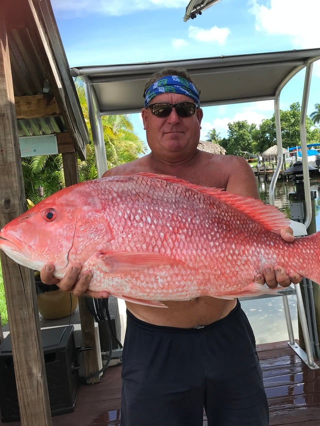 Red Snapper Fishing in Cape Coral, Florida