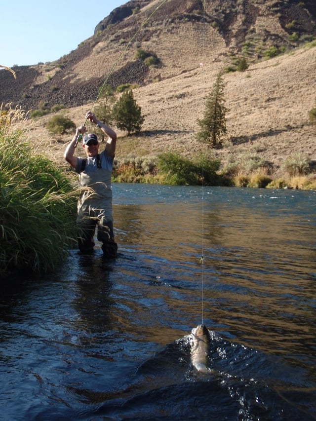 Deschutes River Rainbows and Steelhead