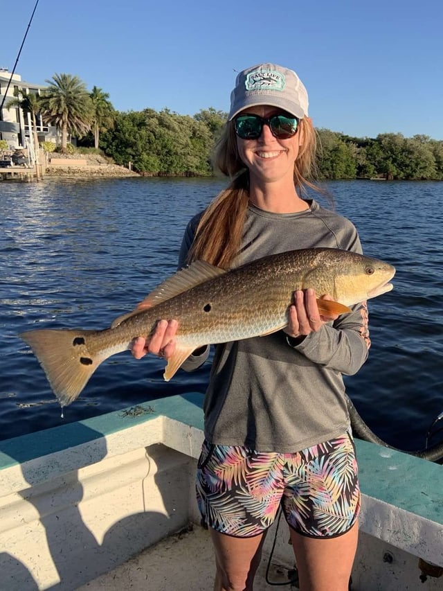 Redfish Fishing in Holmes Beach, Florida