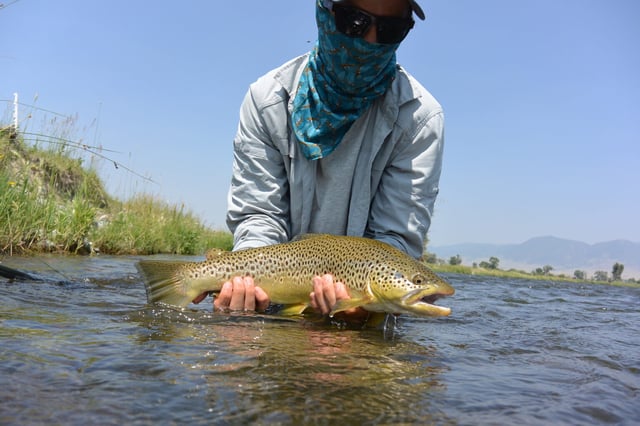 Finest Fly-Fishing Guides - Bozeman