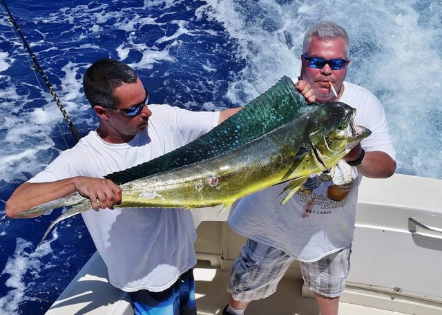 Mahi Mahi Fishing in Miami Beach, Florida