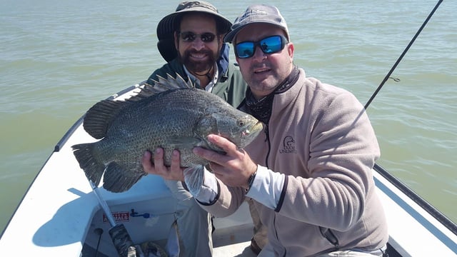 Tripletail Fishing in Key Largo, Florida