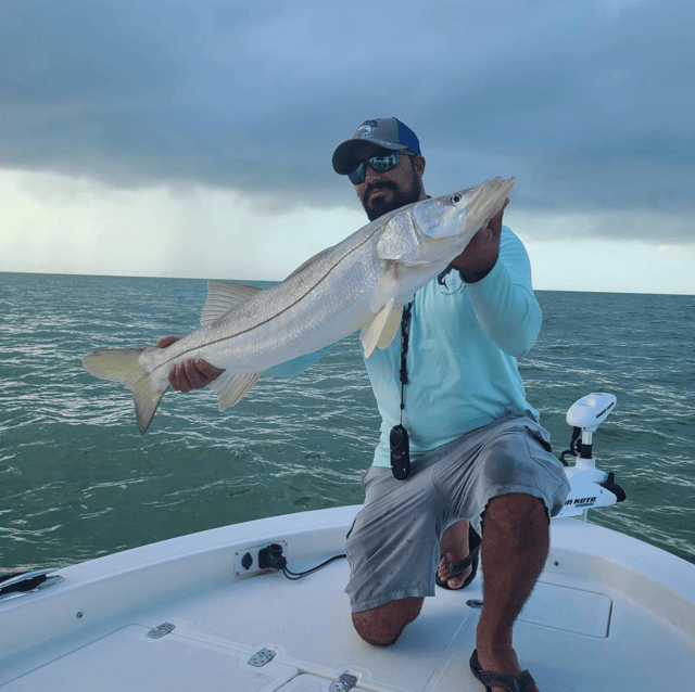 Snook Fishing in Key Largo, Florida