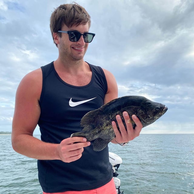 Tripletail Fishing in Fort Myers, Florida