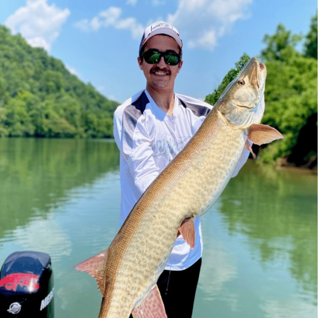 Tennessee Musky Fishing