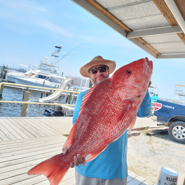 Red Snapper Fishing in Pensacola, Florida