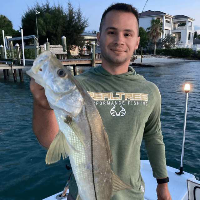 Snook Fishing in Sarasota, Florida