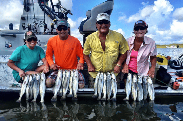 Texas Gulf Coast Inshore Action