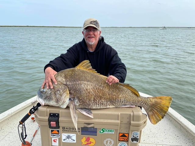 Black Drum Fishing in Freeport, Texas