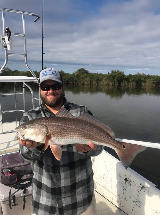 Redfish Fishing in Clearwater, Florida