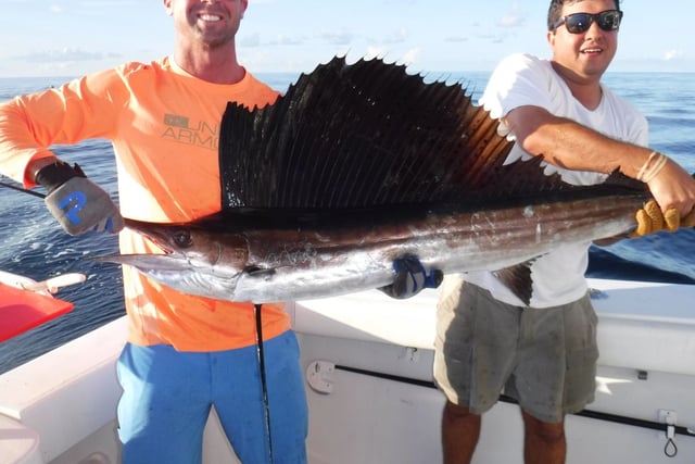 Freeport Offshore Run - 38' Luhrs