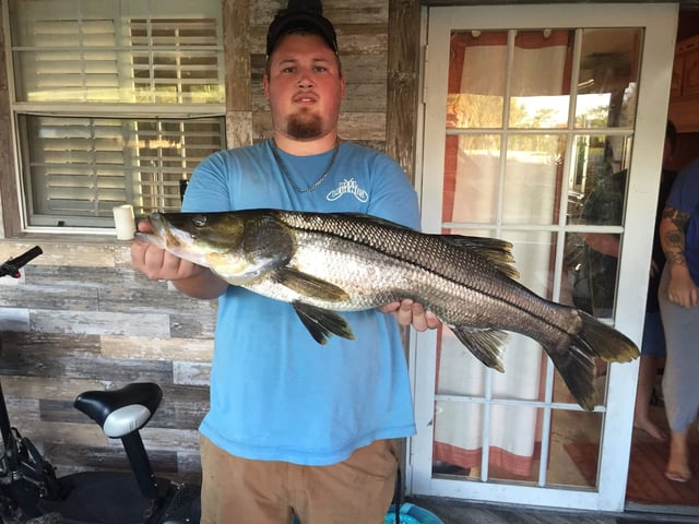 Snook Fishing in Naples, Florida