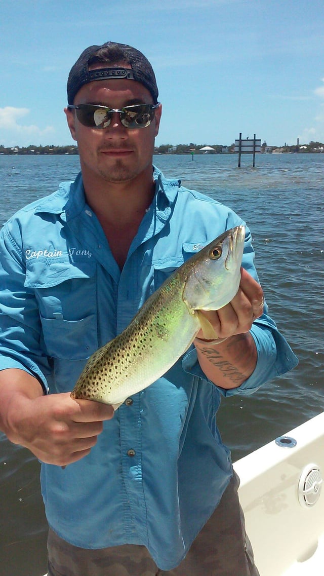 Speckled Trout Fishing in Sarasota, Florida