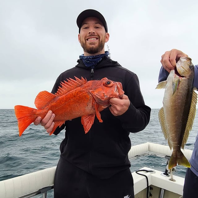 Rockfish Fishing in San Diego, California