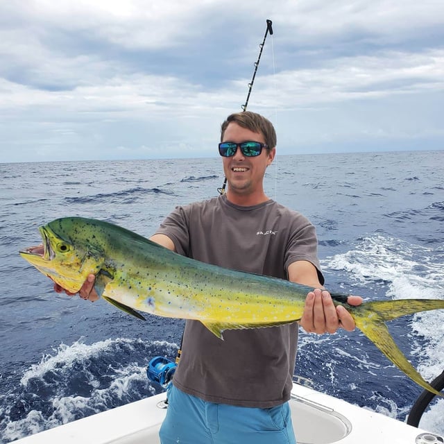 Mahi Mahi Fishing in Pompano Beach, Florida