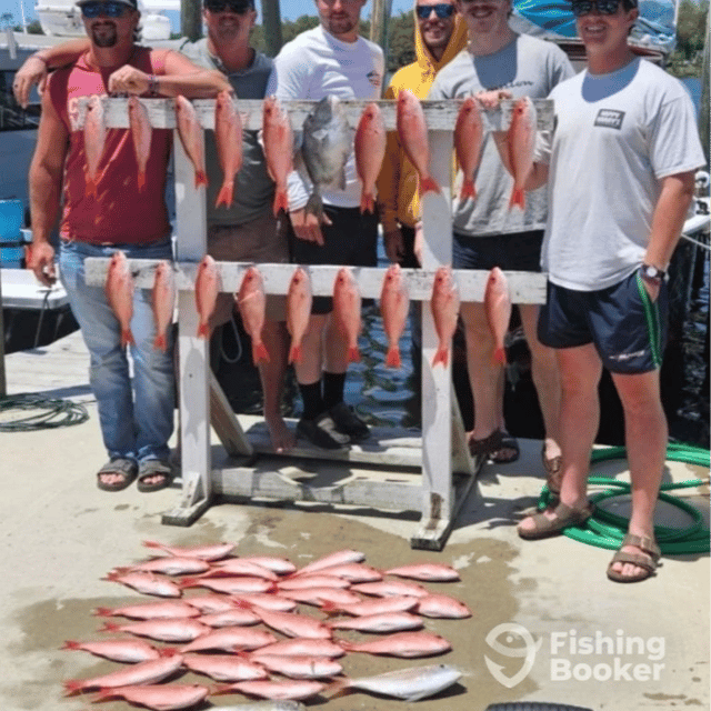 Triggerfish, Vermillion Snapper Fishing in Panama City, Florida