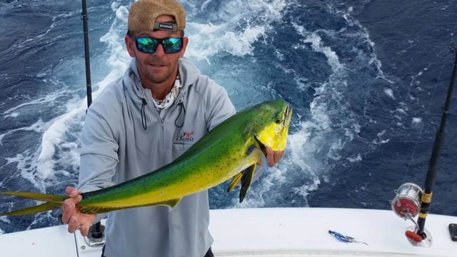 Mahi Mahi Fishing in Pompano Beach, Florida