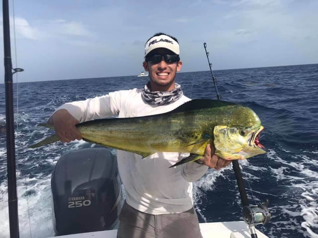 Mahi Mahi Fishing in Key West, Florida