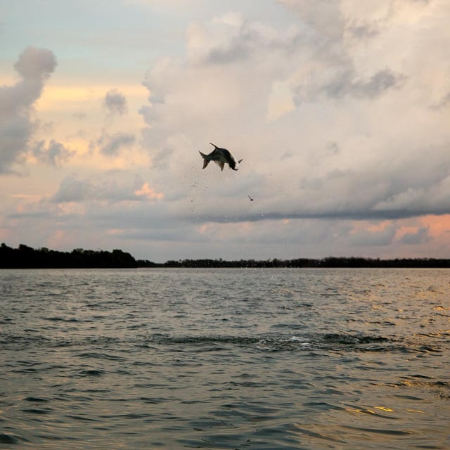 Key West on Light Tackle & Flies