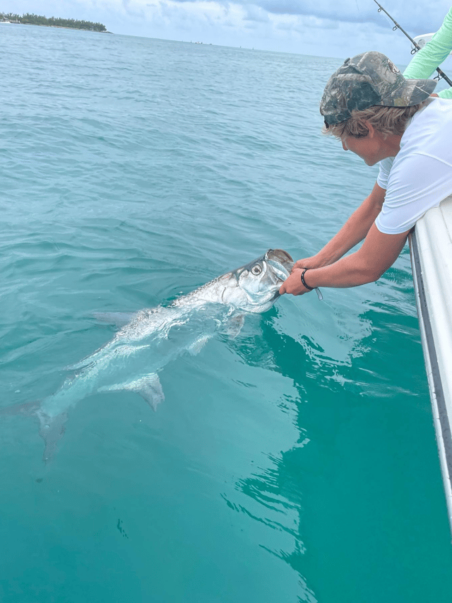 Key West Silver Kings and More