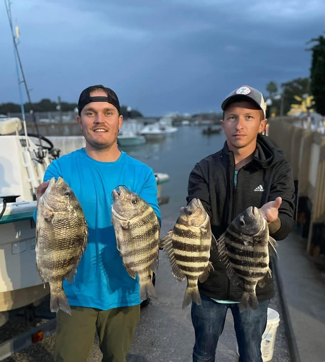 Winter Sheepshead Reef Fishing