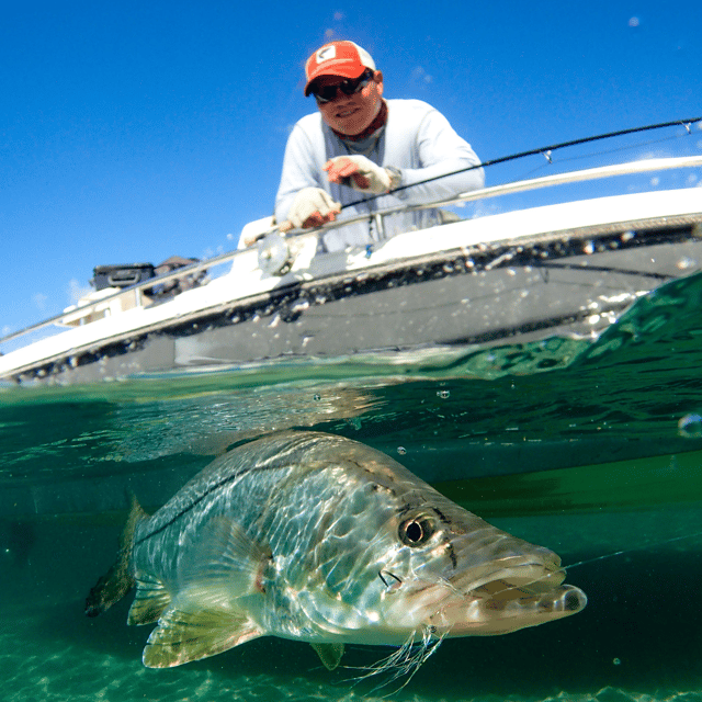 Inshore Saltwater Trip