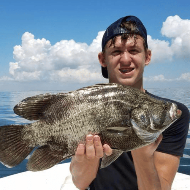 Tripletail Fishing in Galveston, Texas