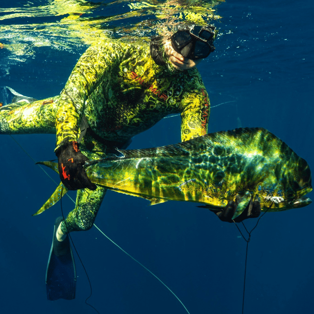 Blue Water Spearfishing Trip