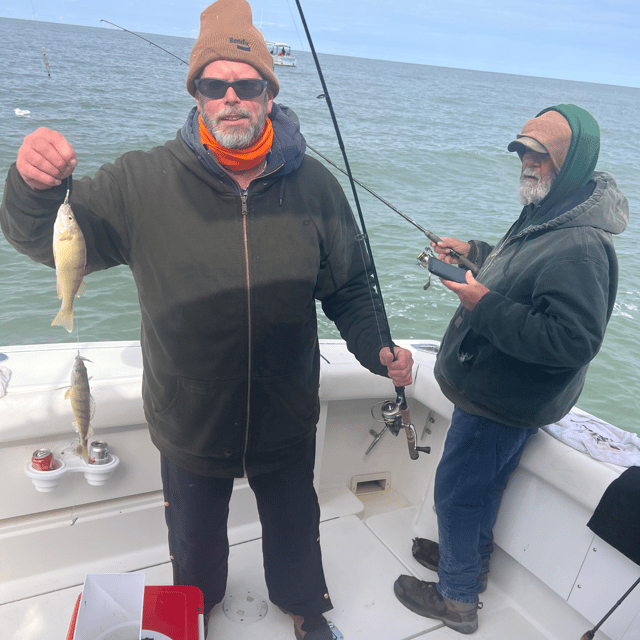 Yellow Perch and Smallmouth