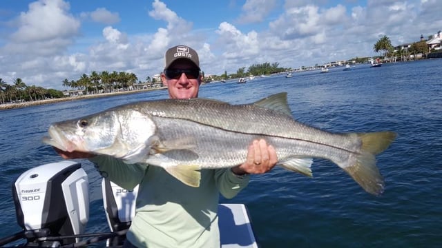 Snook Fishing in Jupiter, Florida