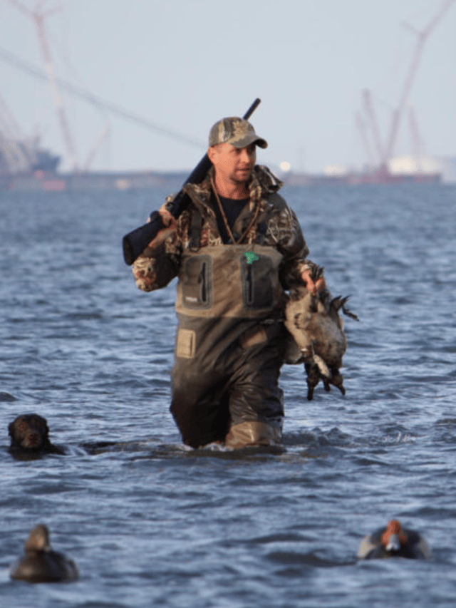 Self Guided Coastal Bend Ducks