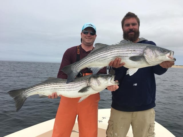 Striped Bass Fishing in Bourne, Massachusetts