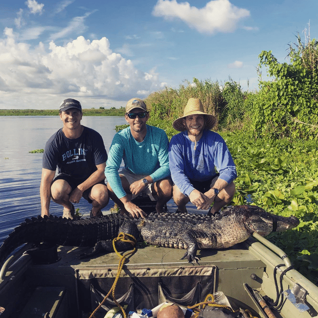 11'+ Central Florida Gator Hunt