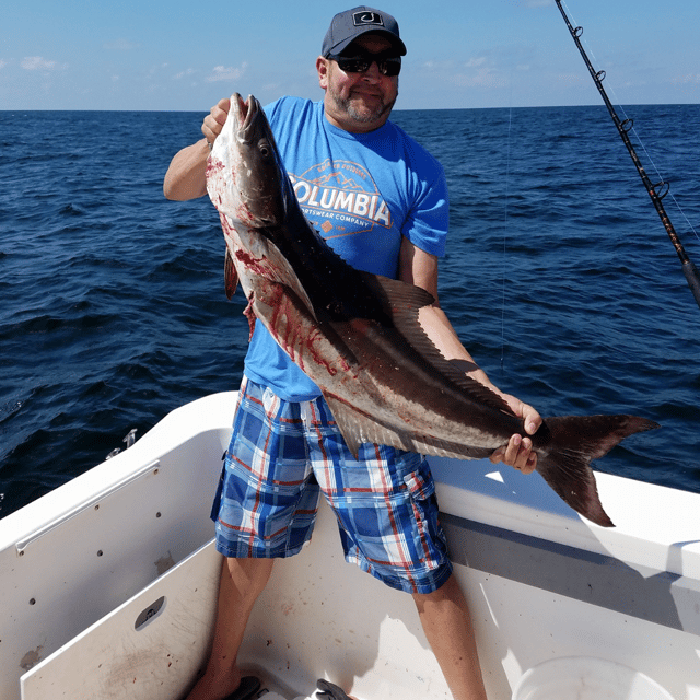 Cobia Fishing in Freeport, Texas