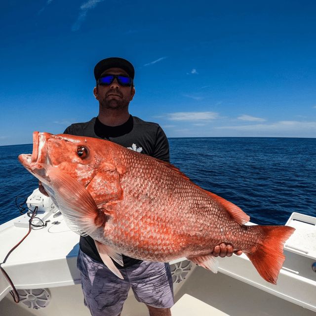 8 Hour Offshore- 24' Pair Custom