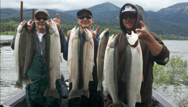 Columbia River Chinook Salmon