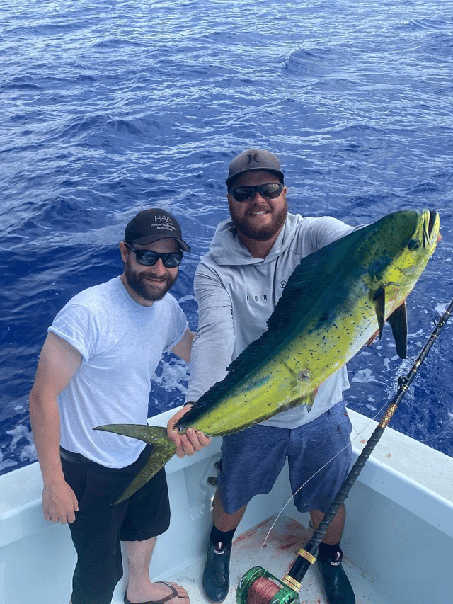 Kona Coast Big Game Fishing