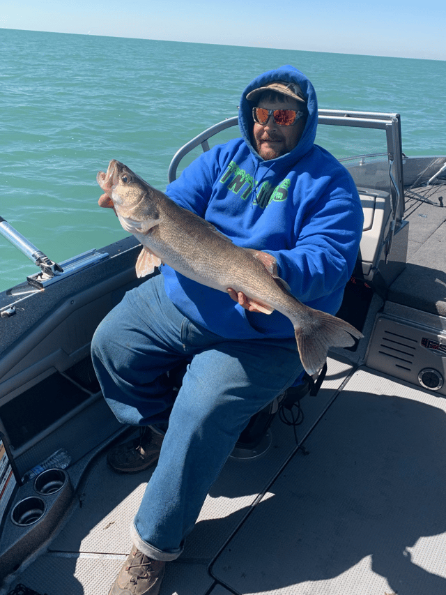 Detroit River Walleye