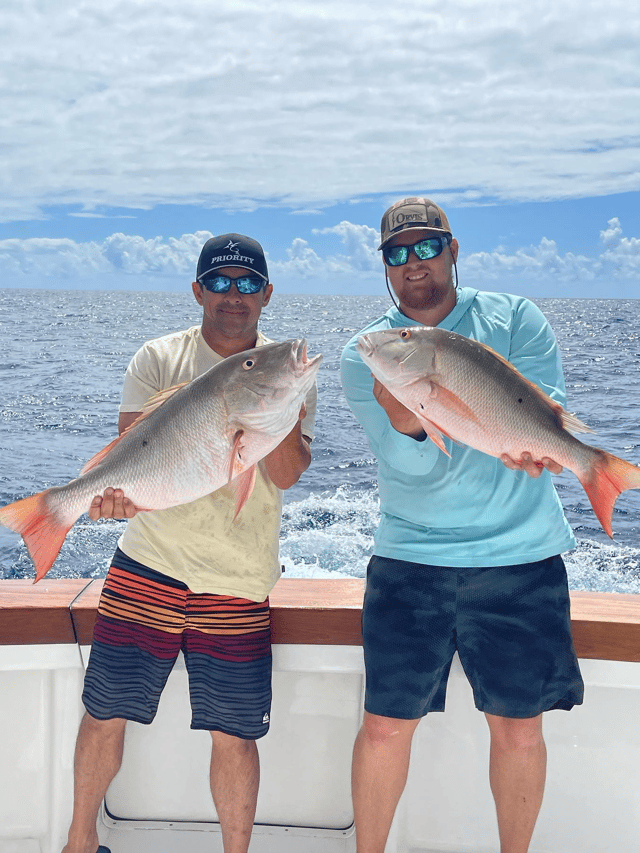 Islamorada Offshore Experience