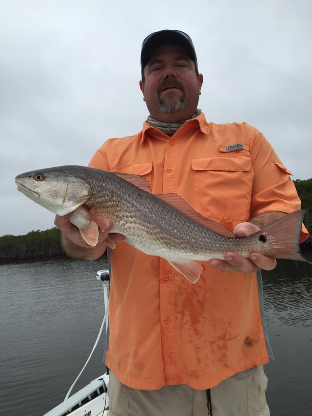 Nature Coast Inshore Trip