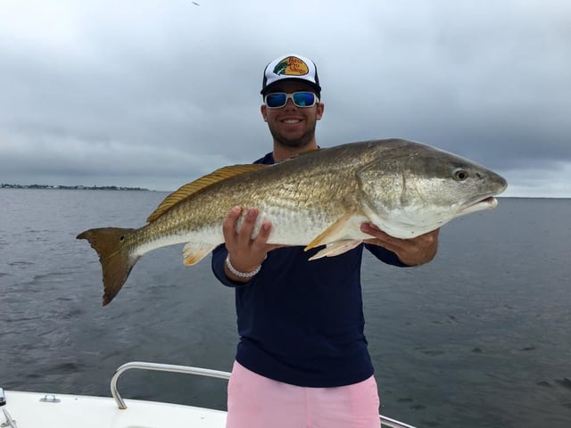 Redfish Fishing in Holmes Beach, Florida