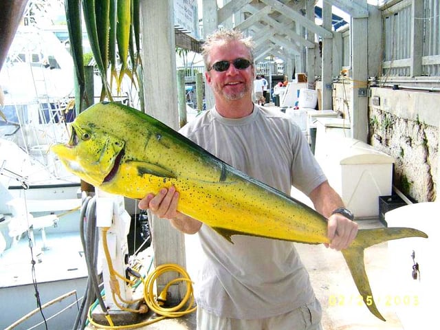 Key Largo Reef and Offshore