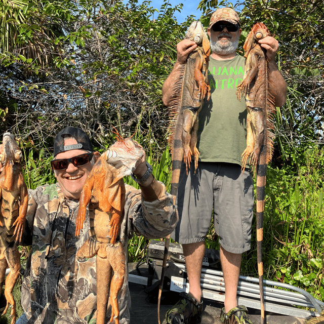 Iguana Hunting in Lake Worth Beach, Florida