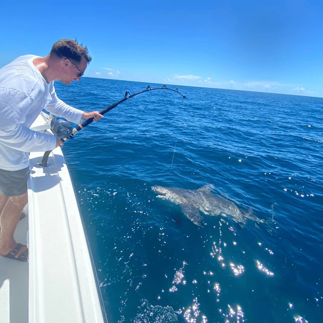 Quick Afternoon Shark Fishing