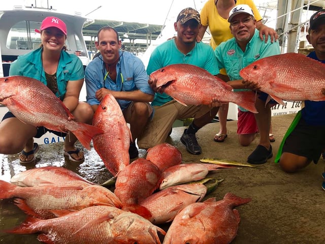 Luxury Snapper Fishing