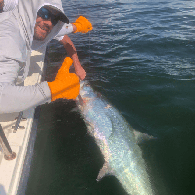 Tarpon Fishing